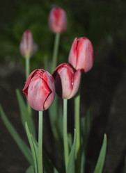 Similar image 1413314