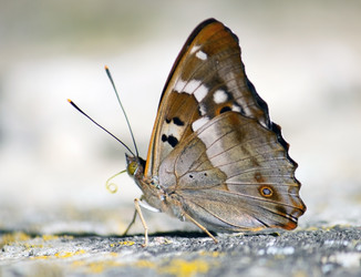 Similar image 1413393