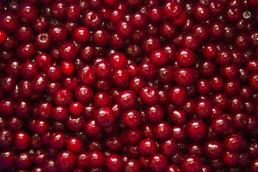 Similar image 1413426