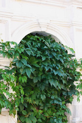 Similar image 1413446