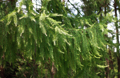 Similar image 1413449