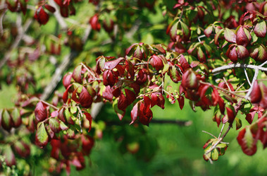 Similar image 1413451