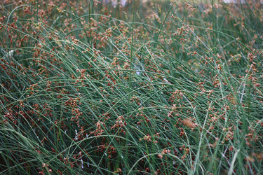 Similar image 1413453