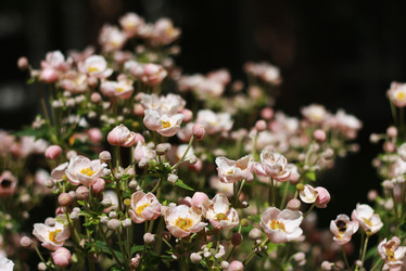 Similar image 1413454