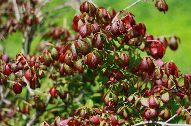 Similar image 1413455