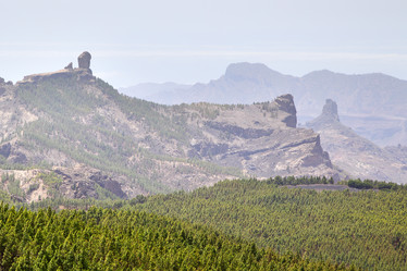 Similar image 1413462