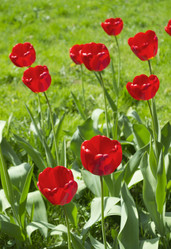 Similar image 1413477