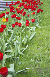 Similar image 1413479