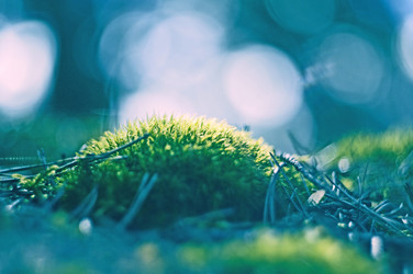 Similar image 1413480