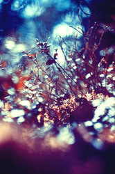 Similar image 1413481