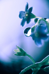 Similar image 1413486