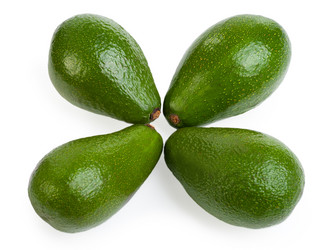 Similar image 1413509