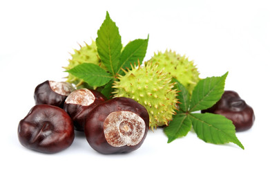 Similar image 1413516