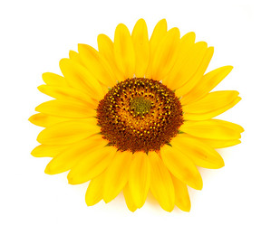 Similar image 1413518