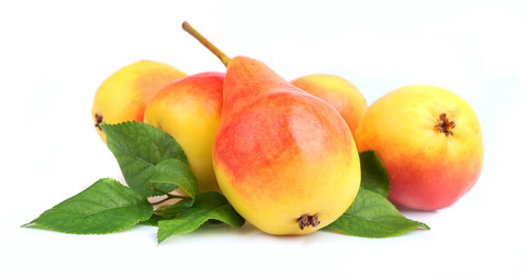 Similar image 1413523