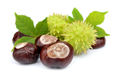 Similar image 1413524