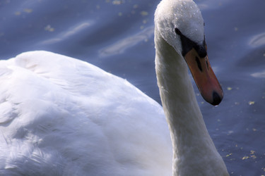 Similar image 1413546