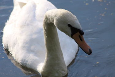 Similar image 1413547