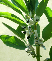 Similar image 1413699