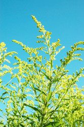 Similar image 1413701