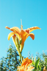 Similar image 1413702