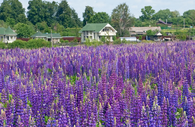 Similar image 1413707