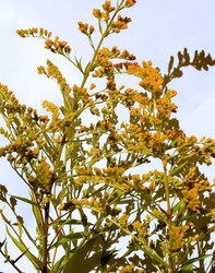 Similar image 1413715