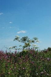 Similar image 1413717