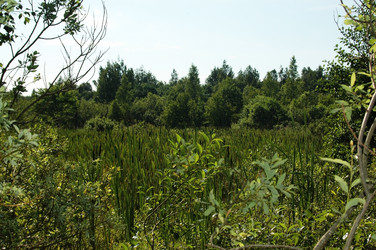 Similar image 1413722