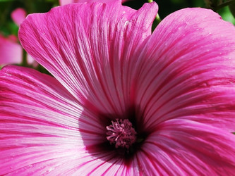 Similar image 1413724