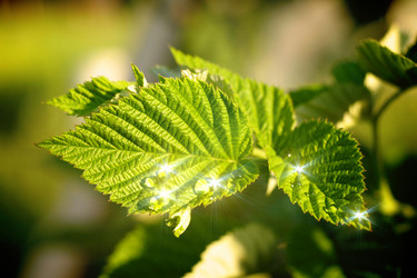 Similar image 1413735