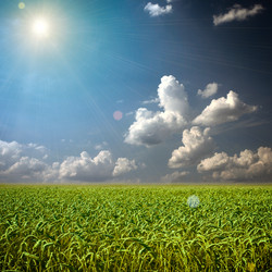 Similar image 1413739