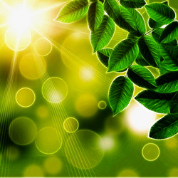 Similar image 1413756