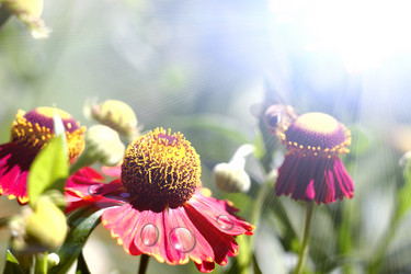 Similar image 1413757