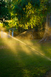 Similar image 1413789