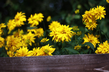 Similar image 1413836