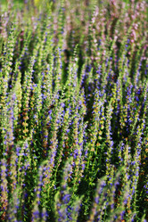 Similar image 1413837