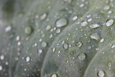 Similar image 1413852