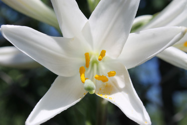 Similar image 1413853