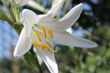 Similar image 1413854