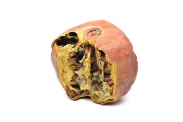 Similar image 1413873