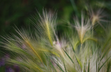 Similar image 1413892