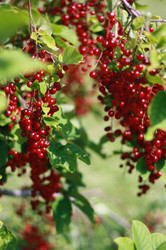 Similar image 1413915