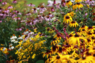 Similar image 1413916