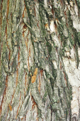 Similar image 1413918