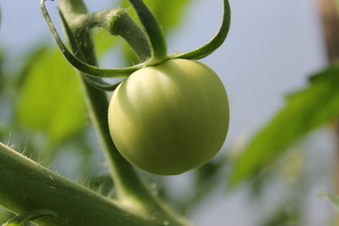 Similar image 1413922