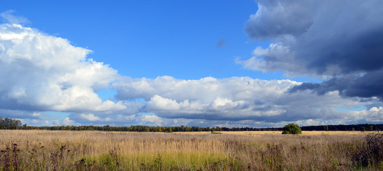 Similar image 1413928