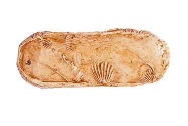 Similar image 1413942