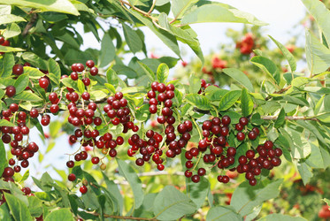 Similar image 1413943