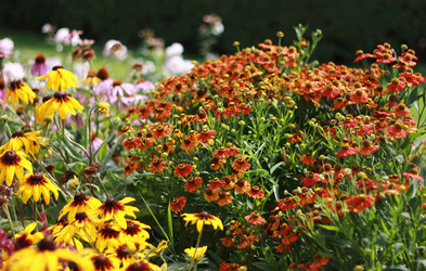 Similar image 1413944